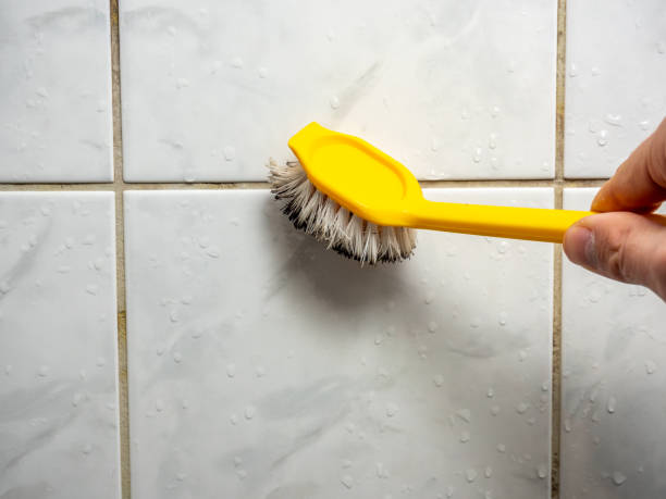 Best Mold Damage Repair  in Mountain View, AR