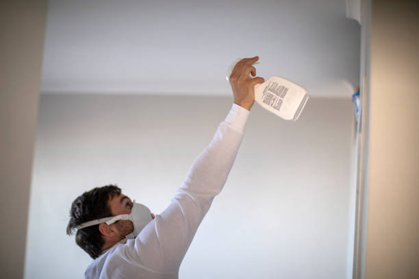 Best Water Damage Restoration  in Mountain View, AR