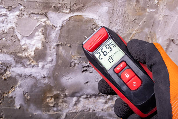 Best Commercial Mold Removal  in Mountain View, AR