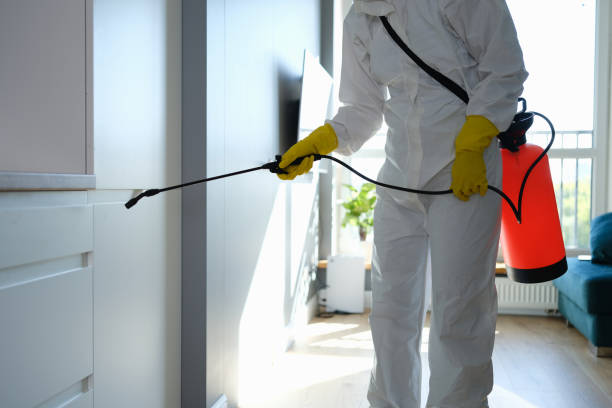 Best Professional Mold Removal  in Mountain View, AR