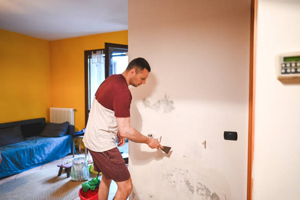 Best Mold Testing  in Mountain View, AR